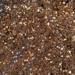 Terriccio per talee o piante grasse misto perlite fine 35 lt Terriccio per talee o piante grasse misto perlite fine 35 lt