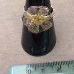 Anello con fiore vero di erodium Anello con fiore vero di erodium