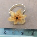 Anello con fiore vero di choisya Anello con fiore vero di choisya