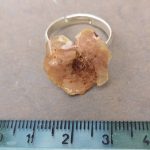 Anello con fiore vero di prunus (ciliegio da fiore) Anello con fiore vero di prunus (ciliegio da fiore)