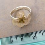 Anello con fiore vero di erodium Anello con fiore vero di erodium