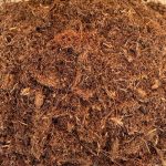 Terriccio per piante acidofile 35 lt Terriccio per piante acidofile 35 lt