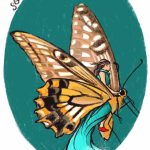 Illustrazione Illustrazione